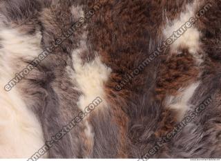 fur 0012